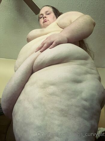 miss_curvycat