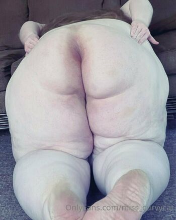 miss_curvycat