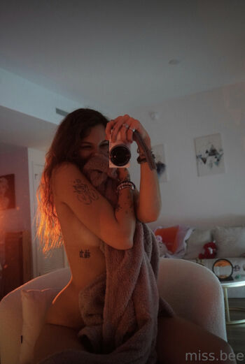 miss.xbee