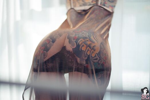 MissFernandez
