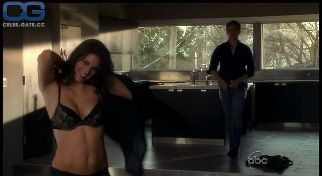 Missy Peregrym