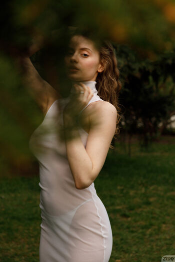 Mitropoliya