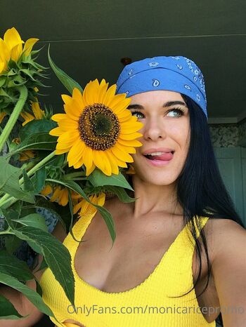 monicaricepromo