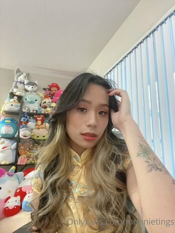 monnietings