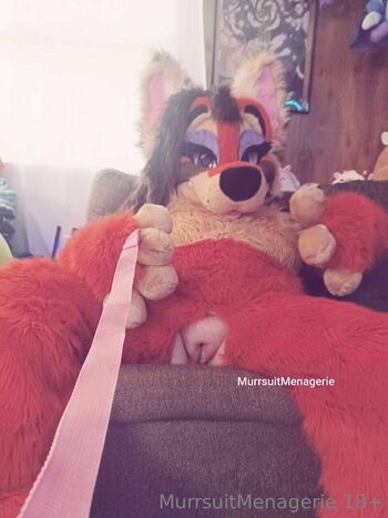 murrparty