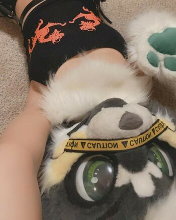 Murrsuit