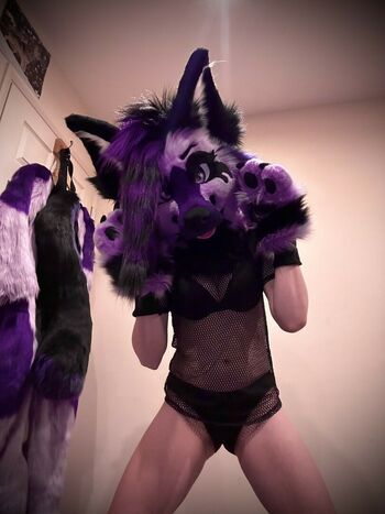Murrsuit