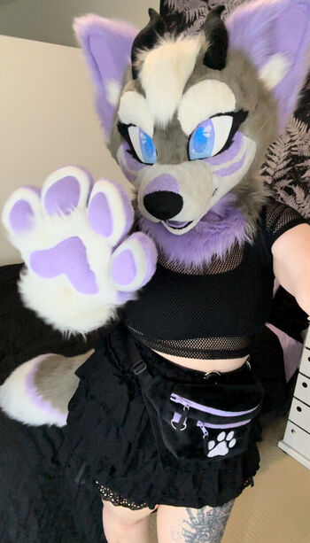 Murrsuit