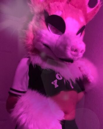 Murrsuit