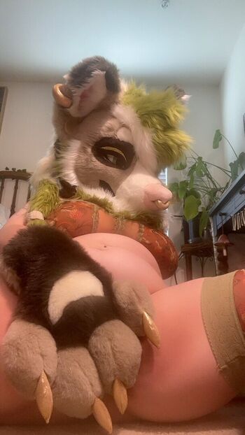 Murrsuit