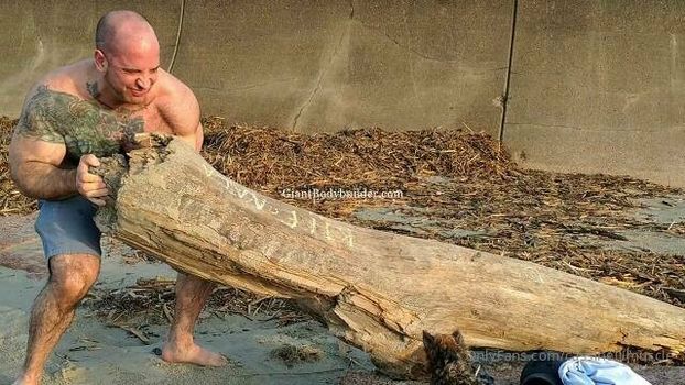 musclesexual