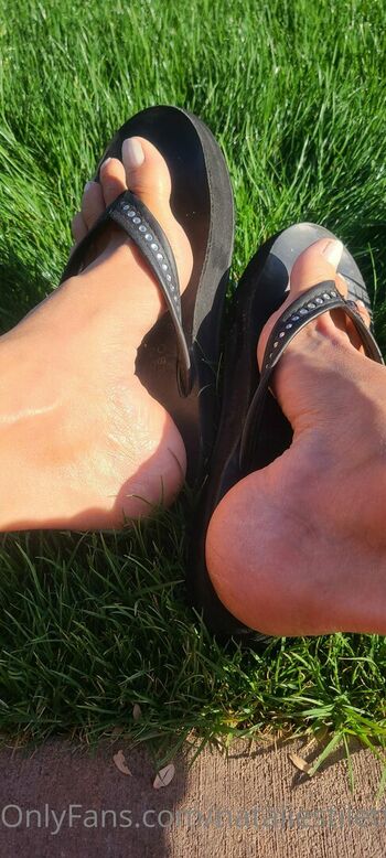 natarches