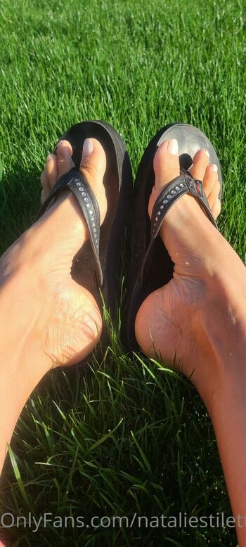 natarches