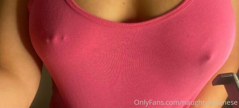 naughtylebanese