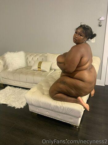 necyness2
