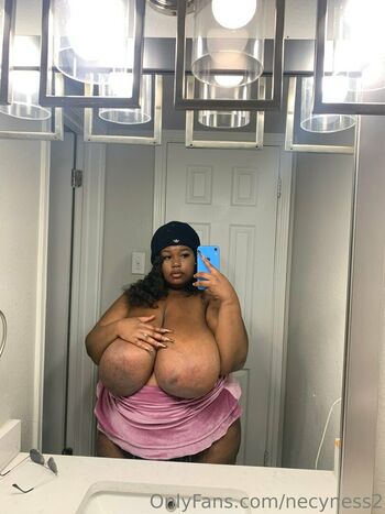 necyness2