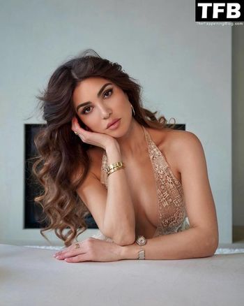 Negin Mirsalehi