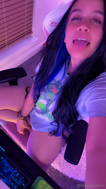 nekobeanbb