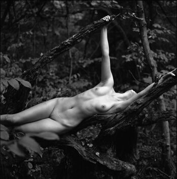 Nemmy Horin