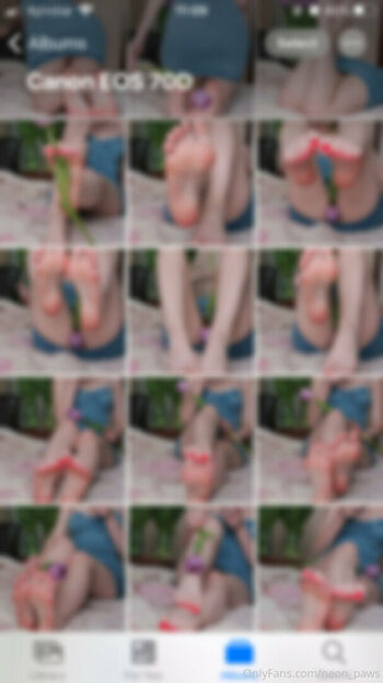 neon_paws