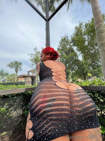nevvycakes