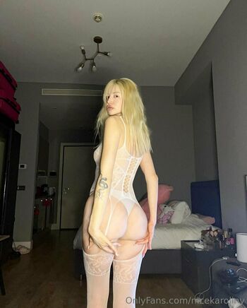 nicekaroliny