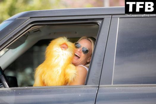 Nicollette Sheridan