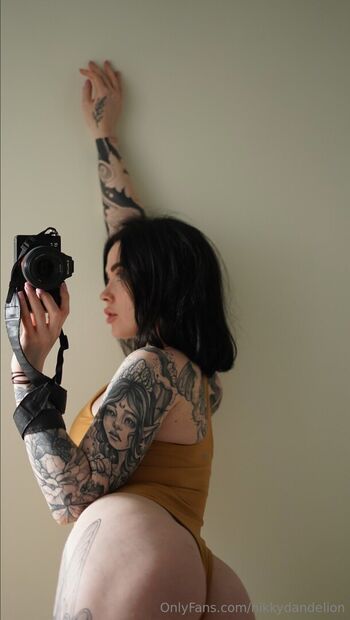 NikkyDandelion