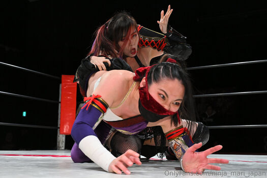 ninja_mari_japan