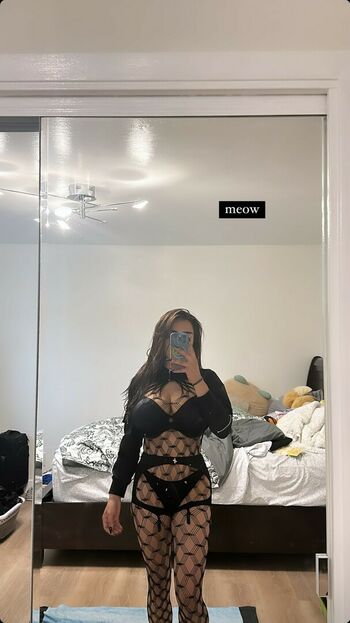 Noheli :