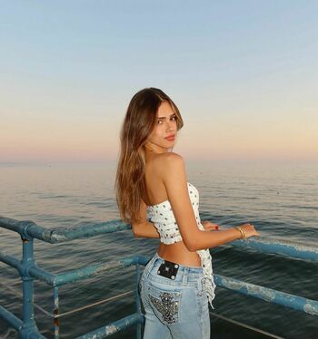 nottrebeca_