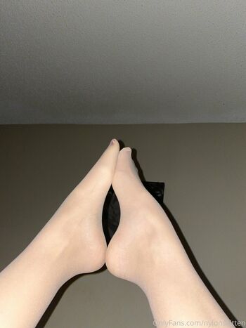 nylonskitten