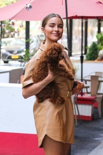 Olivia Culpo
