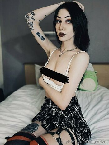 omgvelvet