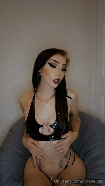 omgvelvet