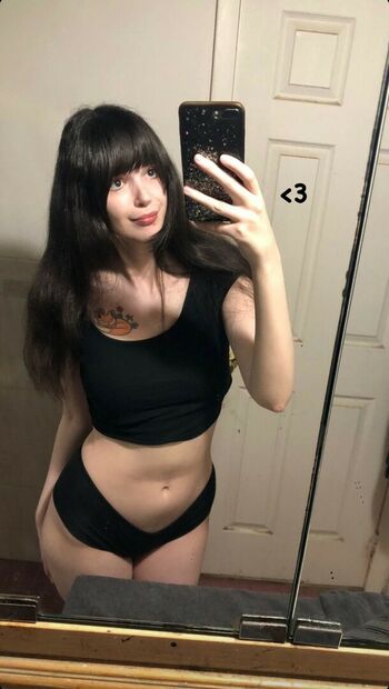 Palediary