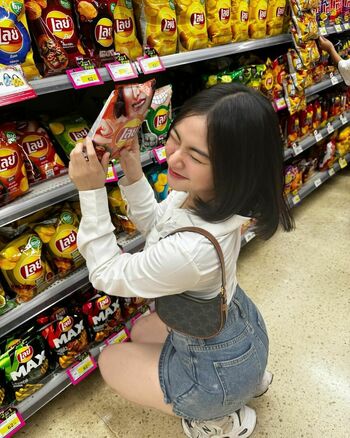 Palmy_Mp