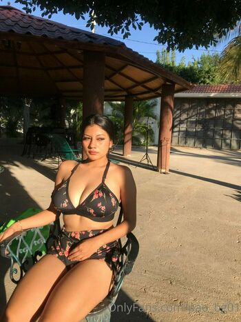 pao_bg01