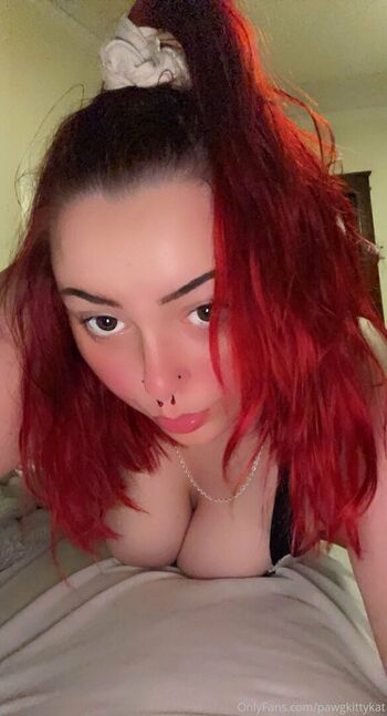 pawgkittykat