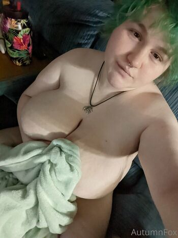 perkyfox