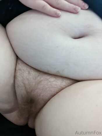 perkyfox