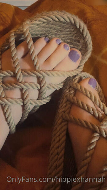 piercednoodle