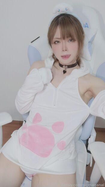 pigmananal