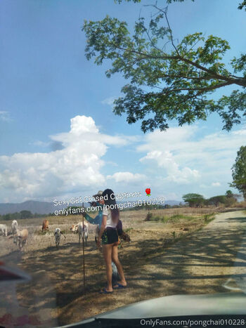 pongchai010228