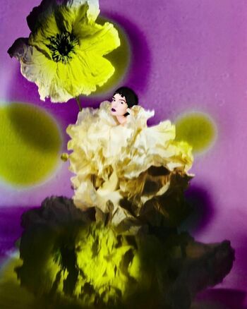 Poppy