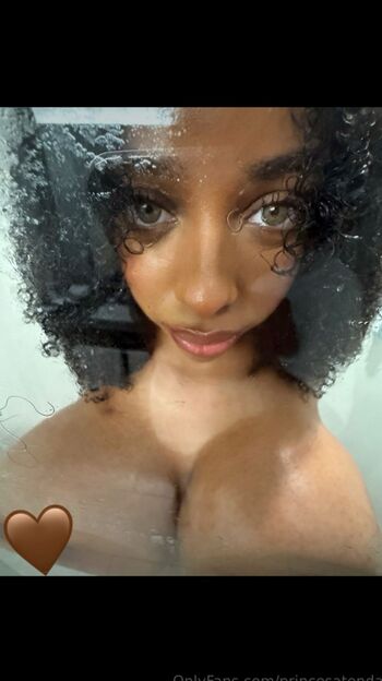 Princesatendai
