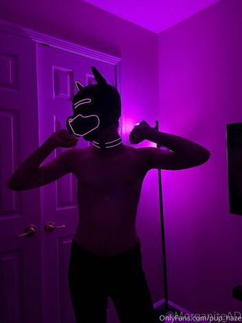 pup_haze