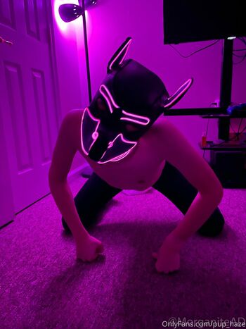 pup_haze