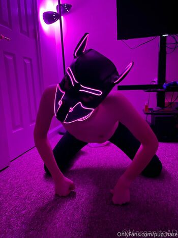 pup_haze