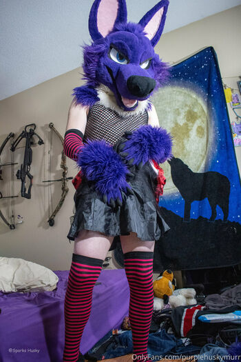 purplehuskymurr